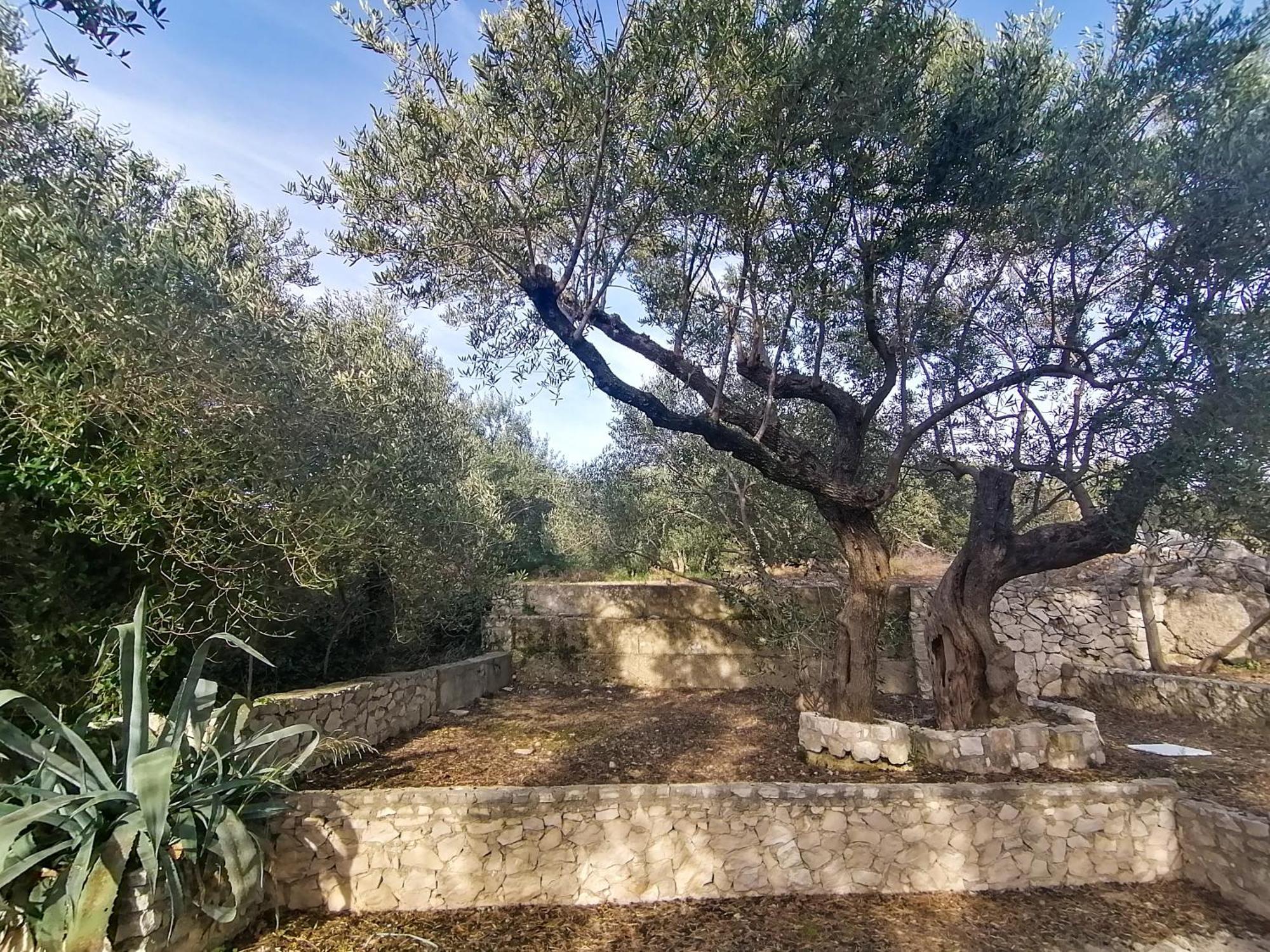 Dolani Klek